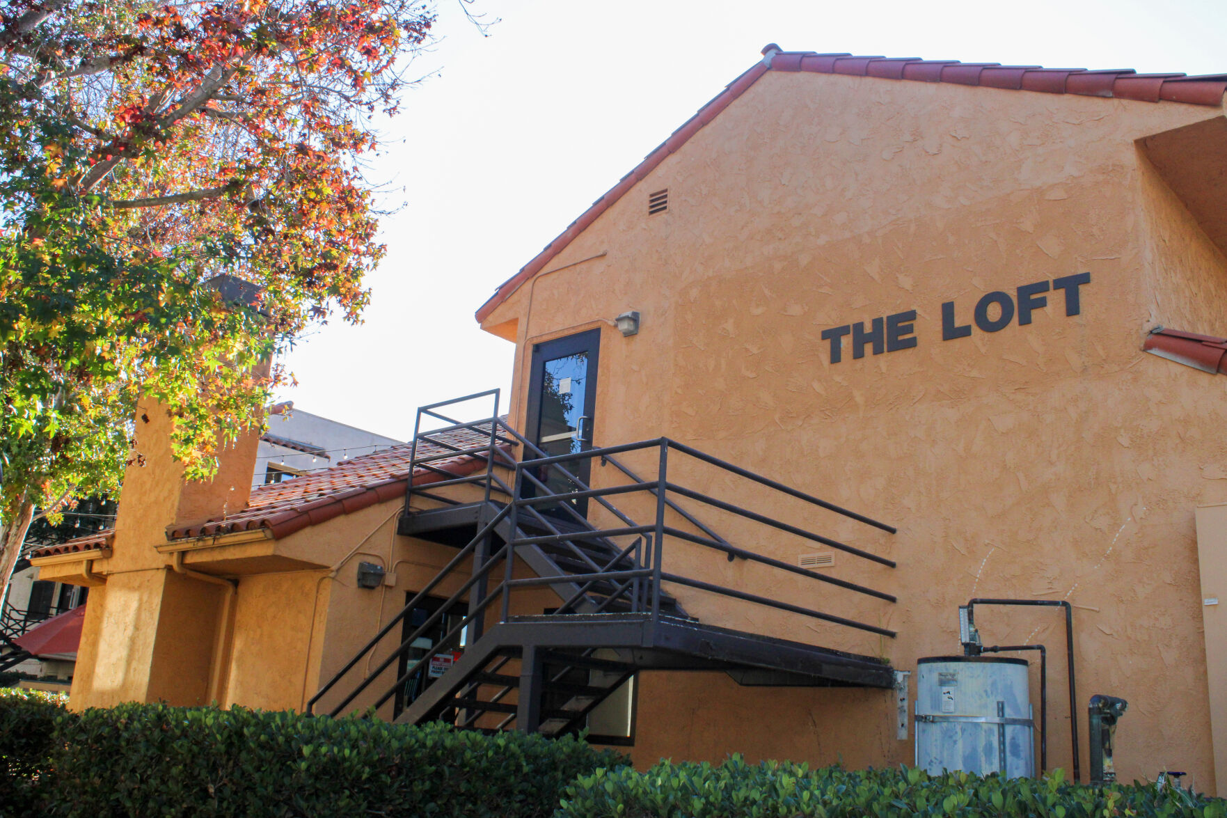 Loft